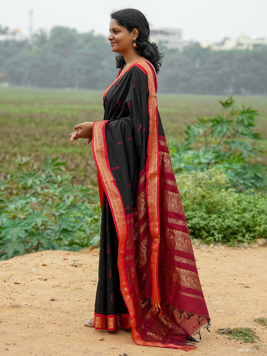 Black & Red Kalyani Cotton Saree