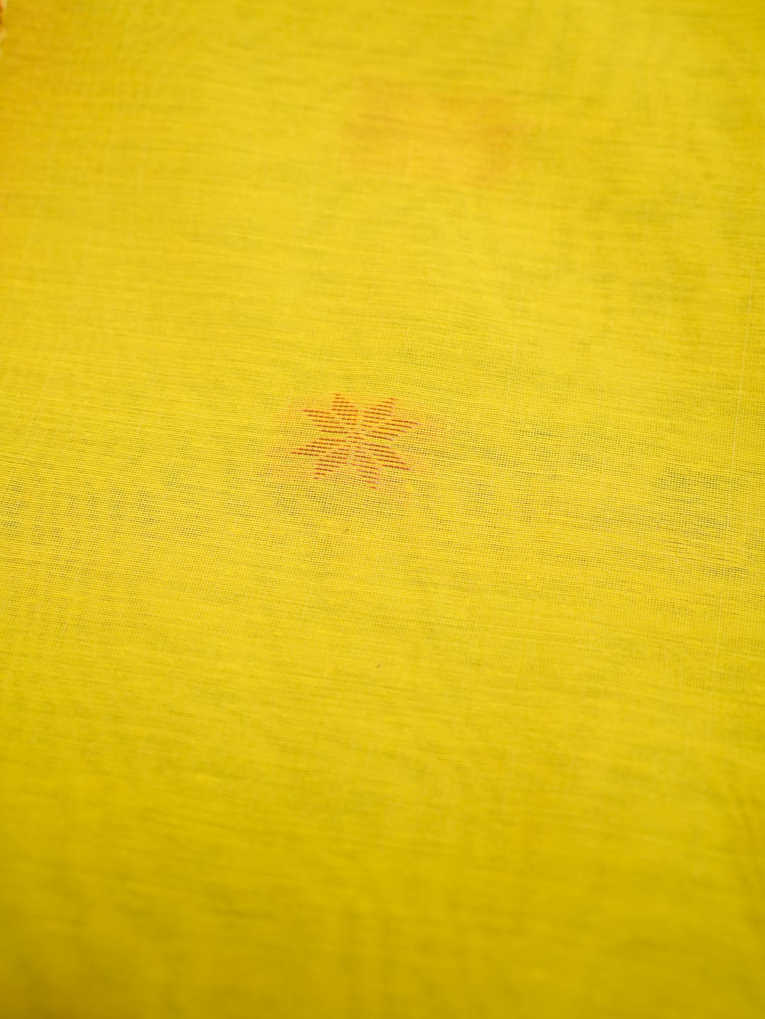 Yellow & Green Maheshwari Cotton Saree